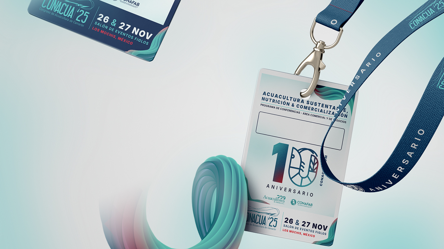 Aliados que impulsan el progreso